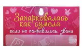 автописьмо пластик Запарковалась как сумела 20*10,5 см 677789