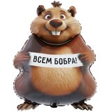 К 33'/84 см БОБРА ВАМ Бобер