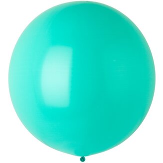Э 24&quot;/278 Фэшн Robin's Egg Blue