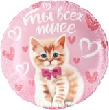 F 18 Круг, Ты всех милее (котенок), Розовый