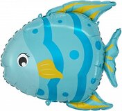 F Маленькая рыбка, Голубой 24''/61 см