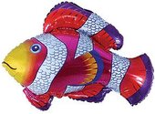 И 14 Рыбка-Клоун / Cloun-fish