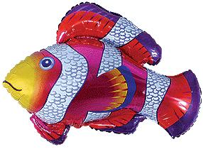 И 14 Рыбка-Клоун / Cloun-fish