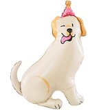 К Шар 3D (38''/97 см) Фигура, Лабрадор в колпачке
