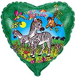 И 18 Сердце  Зебры С днём рождения / Zebras 201645