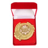 Медаль в бархатной коробке "С юбилеем свадьбы", диам 5 см 1207905