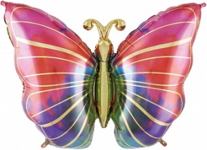 F Волшебная бабочка, Градиент 29''/74 см