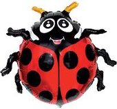 И 14 Божья коровка / Ladi bug