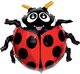 И 14 Божья коровка / Ladi bug