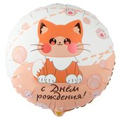 К 18 Круг, РУС ДР Котик усатый