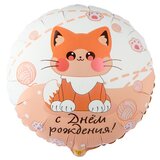 К 18 Круг, РУС ДР Котик усатый