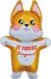 F Корги на День Рождения 41''/104 см