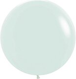 S 24''/61 см Светлая мята (630), макарунс пастель / 1 шт./