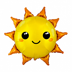 И 14 Солнце / SUN MINI