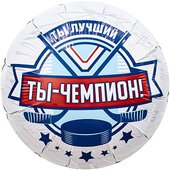 Ag 18 Круг Хоккей, Ты Чемпион!