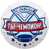 Ag 18 Круг Хоккей, Ты Чемпион!