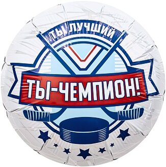 Ag 18 Круг Хоккей, Ты Чемпион!