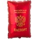 К 21'/53 см Паспорт