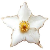 К 31'/79 см GLAM Цветок белый