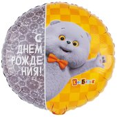 К 18 Круг, РУС ДР Кот Басик