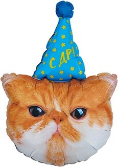 F Котик в колпачке 32''/81 см