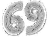 Г ЦИФРА 6/9  26" Silver