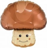 F Гриб Боровик 23''/58 см