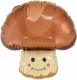 F Гриб Боровик 23''/58 см