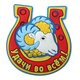 магнит символ года "Удачи во всем", 5,4х6 см 230862