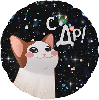 F 18 Круг, С ДР! (котик