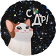 F 18 Круг, С ДР! (котик