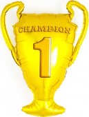 F Кубок Чемпионов, Золото 28''/71 см